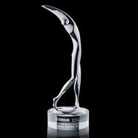 Picture of Stoke Golfer Award